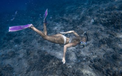 Découvrir la plongée sous-marine en France avec les enfants